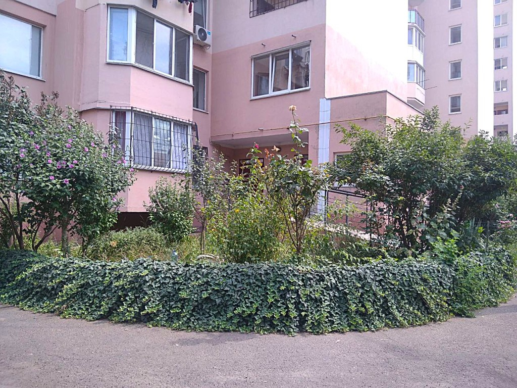 продажа двухкомнатной квартиры номер A-173159 в Малиновском районе, фото номер 10